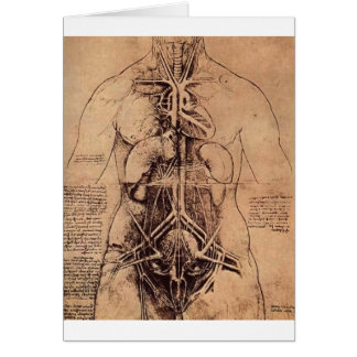 Het beginsel van organen en vasculair en Urino-Gen