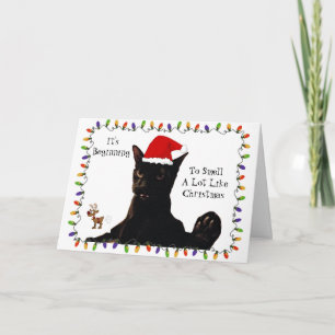 Het begint erg naar Kerstmis te ruiken Kater Kaart