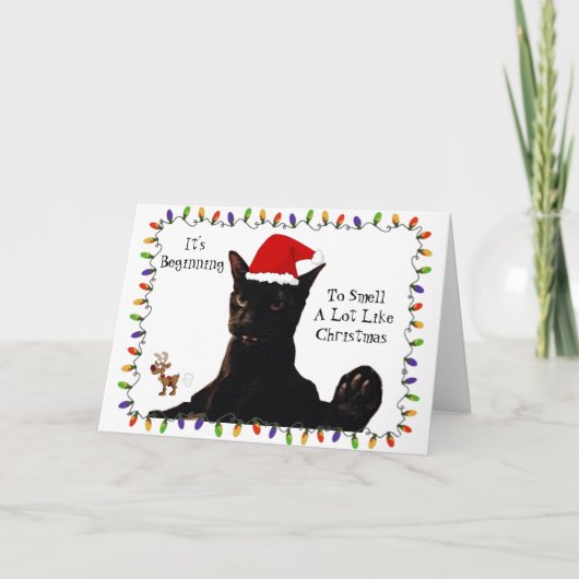 Het begint erg naar Kerstmis te ruiken Katten Kaart (Voorkant)