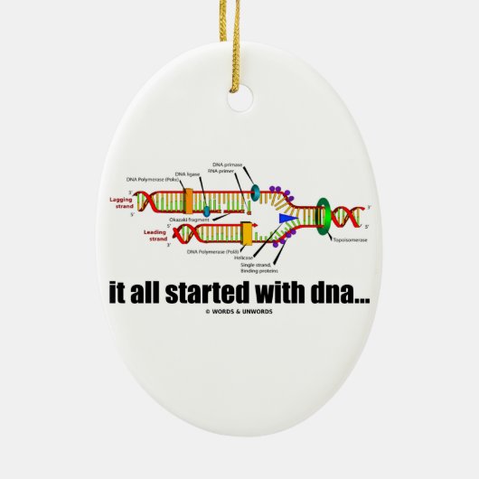 Het begon allemaal met DNA. (DNA-replicatie) Keramisch Ornament (Achterkant)