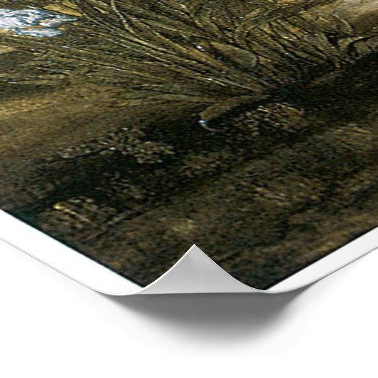 Het Beguiling van Merlin Poster (Hoek)