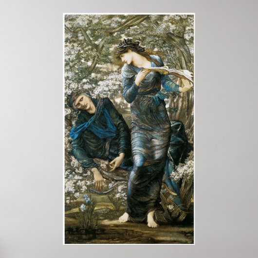 Het Beguiling van Merlin Poster (Voorkant)