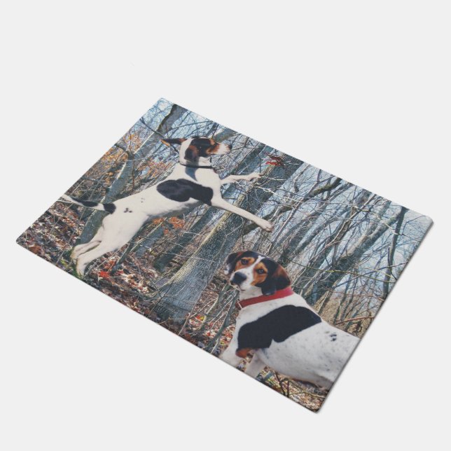 Het behandelen van Walker Coonhounds in Bossen Deu Deurmat (Schuin)