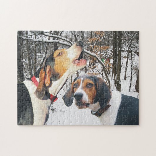 Het behandelen van Walker Coonhounds in Snowy Boss Legpuzzel (Horizontaal)