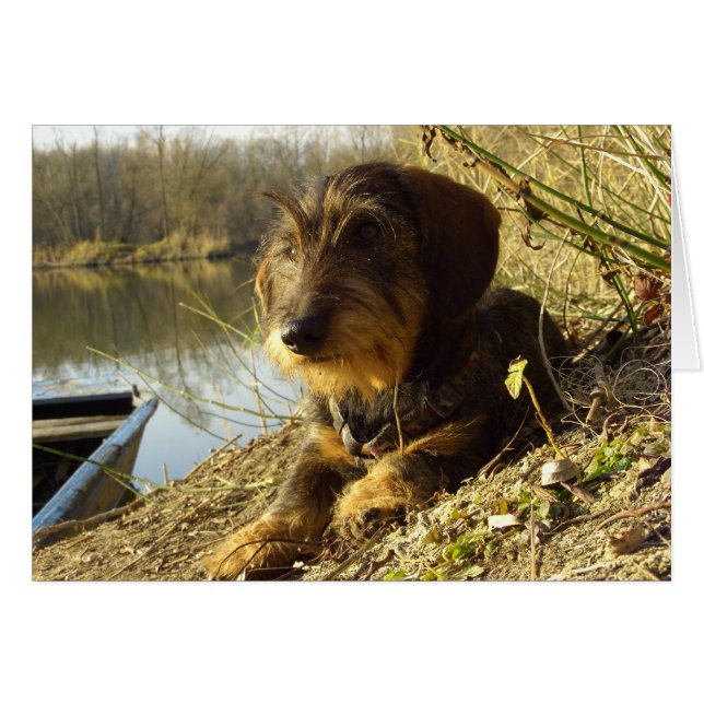 Het bekijken (Voorkant Horizontaal)