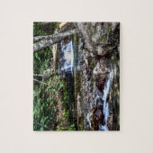 Het bekken, Franconia New Hampshire Legpuzzel (Verticaal)