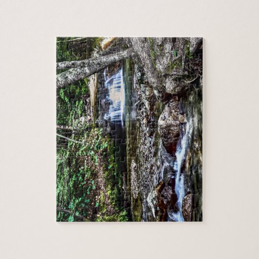 Het bekken, Franconia New Hampshire Legpuzzel (Verticaal)