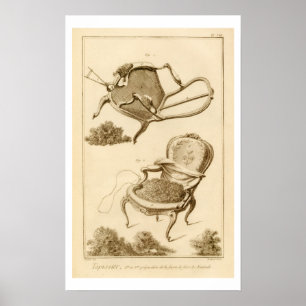 Het bekleden van een stoel van de "Enc" Poster