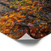 Het bekrachtigen van mist op het Poster van het he (Hoek)