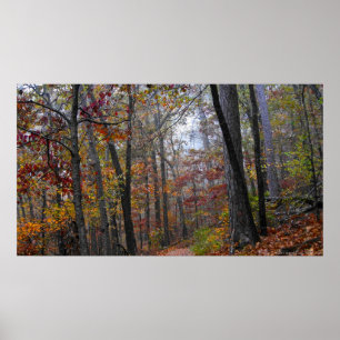 Het bekrachtigen van mist op het Poster van het he