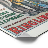 Het belemmeren van Bros Big Bingo de olifant Circu Poster (Hoek)