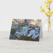 Het bemoste Eiken Wenskaart van het Logboek Kaart (Gele Bloem)