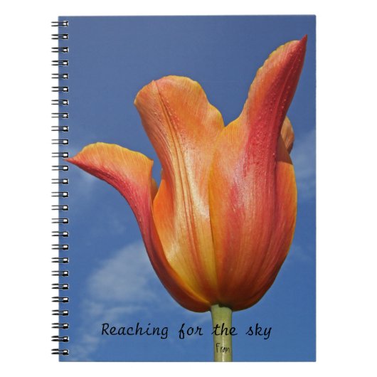 het bereiken van de hemel notitieboek (Voorkant)