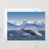 Het bereiken van de hoefjeswalvis in Alaska Briefkaart (Voorkant / Achterkant)