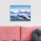Het bereiken van de hoefjeswalvis in Alaska Canvas Afdruk (Insitu (Woonkamer))