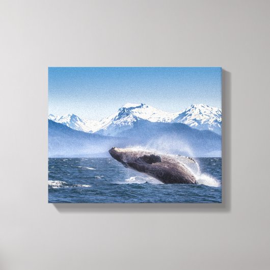 Het bereiken van de hoefjeswalvis in Alaska Canvas Afdruk (Voorkant)