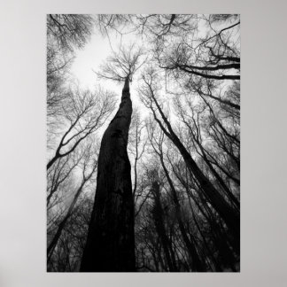 Het bereiken van poster