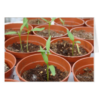 Het bereiken voor de Zon