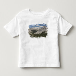 Het bergmeer in een vallei met een blauwe hemel kinder shirts