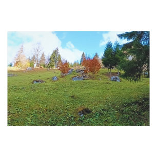 Het Bergweiland - Wilde Natuur Roemenië Foto Afdruk