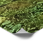 Het Bergweiland - Wilde Natuur Roemenië Poster (Hoek)
