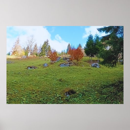Het Bergweiland - Wilde Natuur Roemenië Poster (Voorkant)