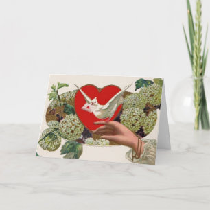 Het Bericht van Valentijn met Duif Feestdagen Kaart