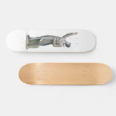 Het beroemde skateboard van de Aviator (Horizontaal)