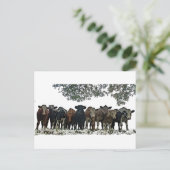 Het beslag briefkaart (Staand voorkant)