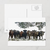 Het beslag briefkaart (Voorkant / Achterkant)