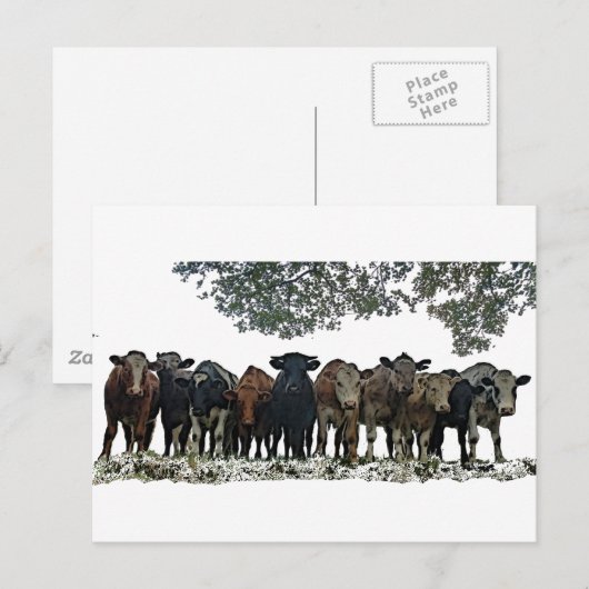 Het beslag briefkaart (Voorkant / Achterkant)