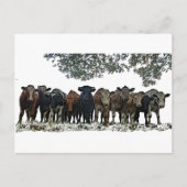 Het beslag briefkaart (Voorkant)