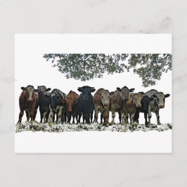 Het beslag briefkaart