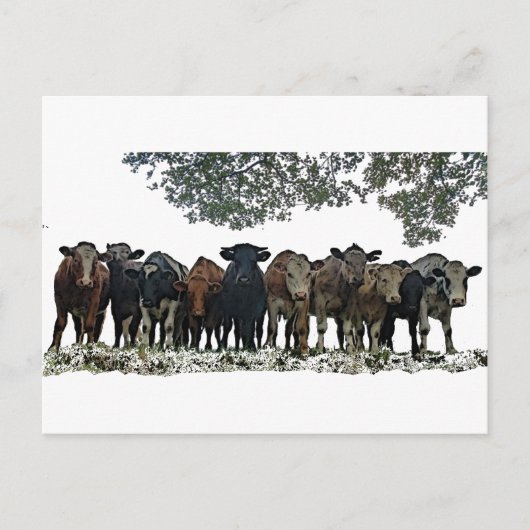 Het beslag briefkaart (Voorkant)