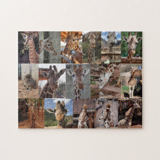 Het beslag legpuzzel
