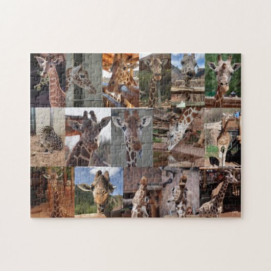 Het beslag legpuzzel (Horizontaal)