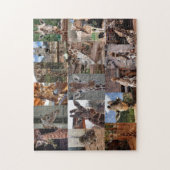 Het beslag legpuzzel (Verticaal)