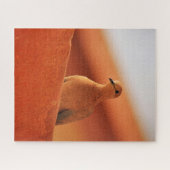 Het beslissingsgebied legpuzzel (Horizontaal)