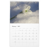 Het beste cadeau voor de beste persoon 2025 kalend kalender (Feb 2027)