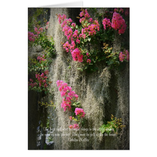 Het beste en mooiste ding... (Voorkant)