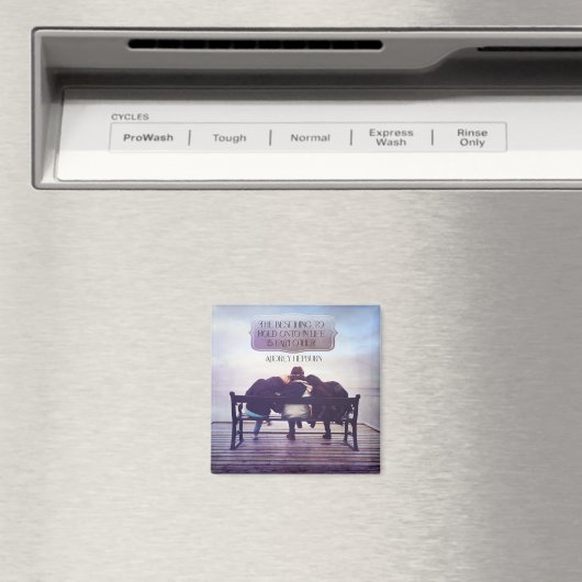 Het beste om vast te houden in het leven magneet (Insitu (Vaatwasser))