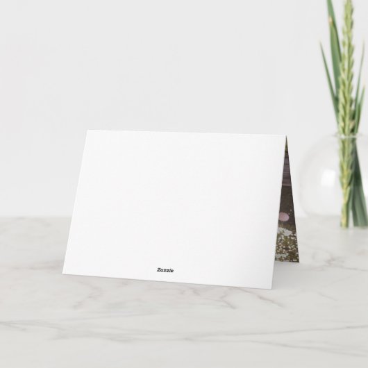 Het beste. Papa. Ooit. Vaderdag-fotokaart Kaart (Achterkant)