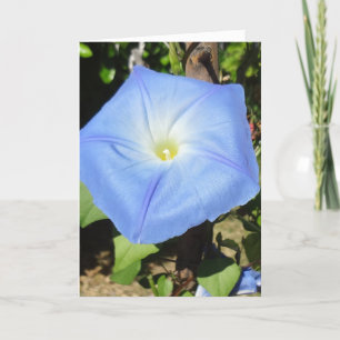 Het beste van alles in je nieuwe huis! Succes! Kaart