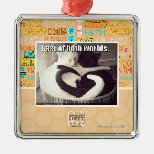 Het beste van beide werelden. metalen ornament (Voorkant)