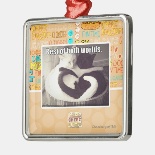Het beste van beide werelden. metalen ornament (Links)
