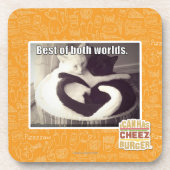 Het beste van beide werelden. onderzetter (Voorkant)