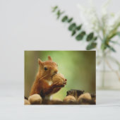 Het beste van de Bunch Briefkaart (Staand voorkant)