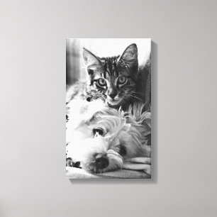 Het Beste van de fotografie van Vrienden Canvas Afdruk