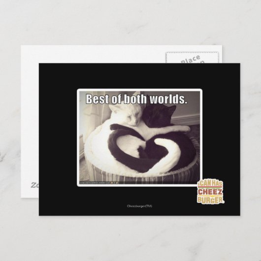 Het beste van twee werelden. briefkaart (Voorkant / Achterkant)