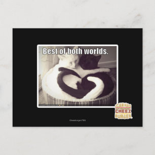 Het beste van twee werelden. briefkaart